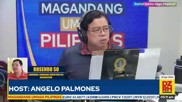 Customs holding corn shipments - SINAG