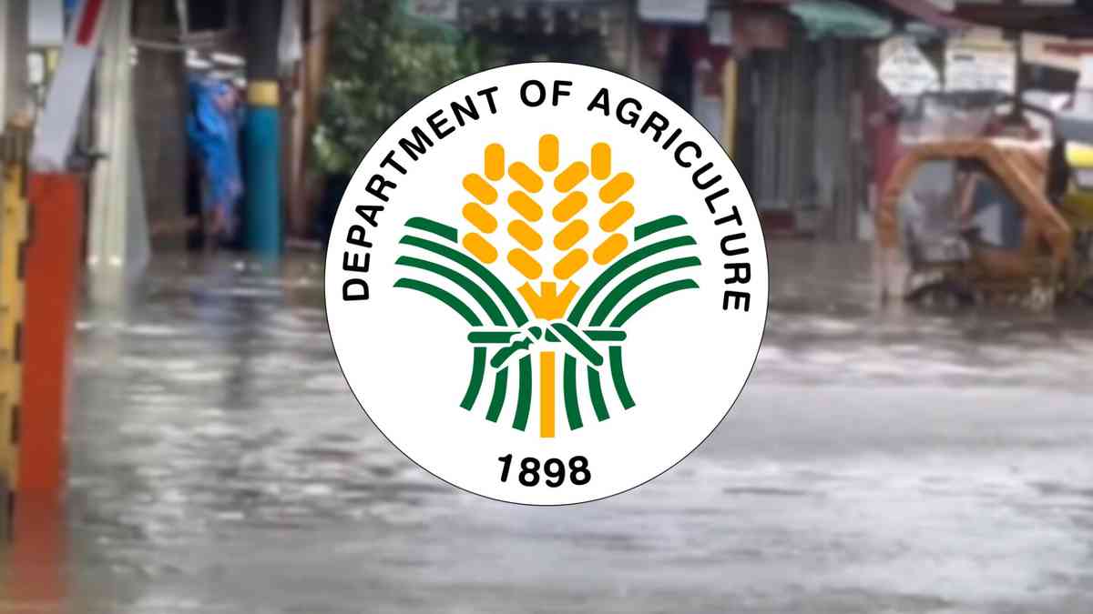 DA: Insurance payments for 86K farmers amount to P667-M