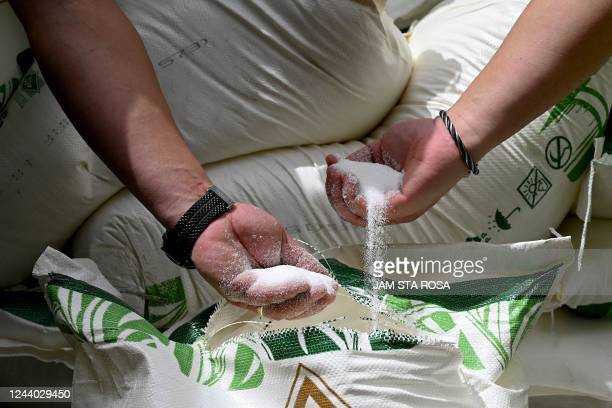 Marcos orders 444,000 MT sugar import, says Panganiban