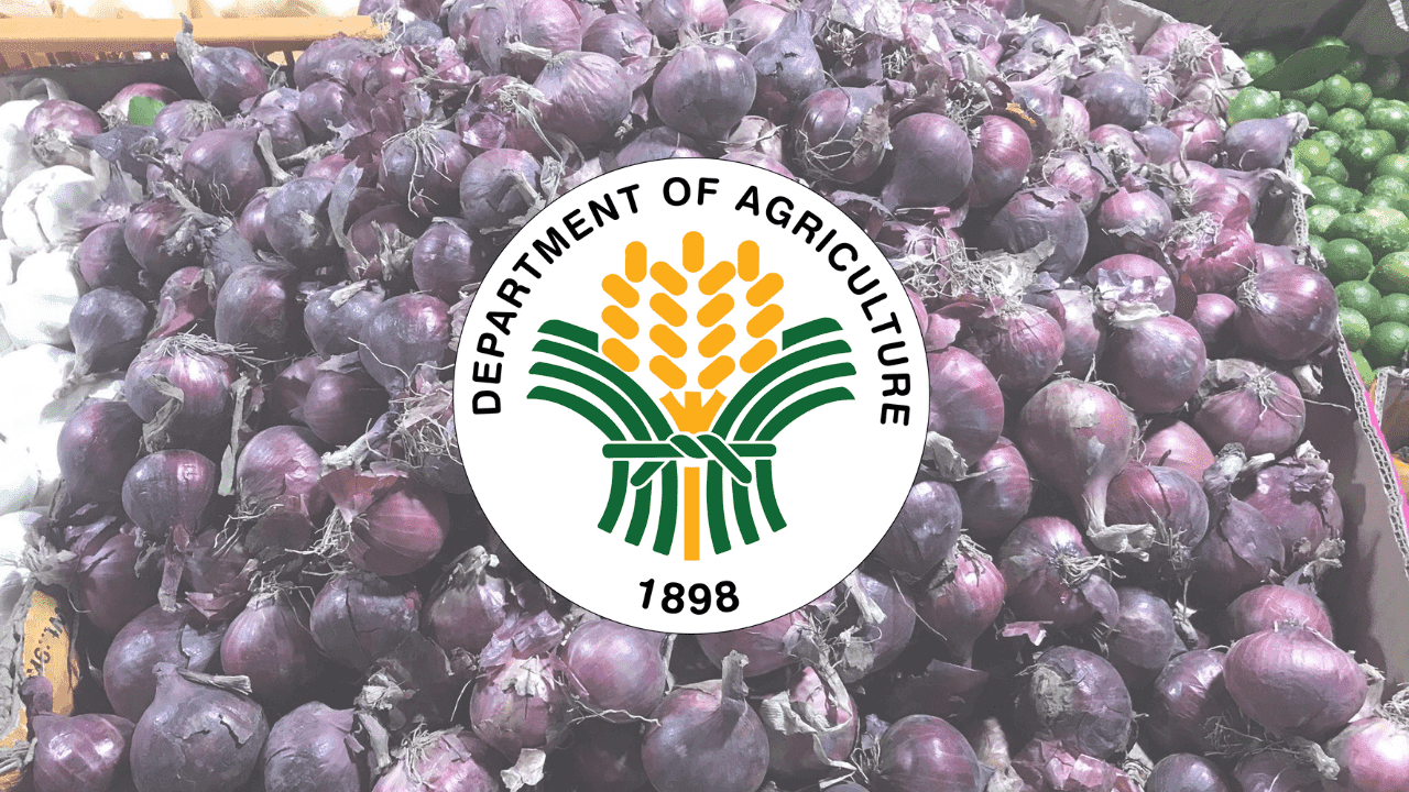 DA sets new SRP for imported red onion at P125/kilo
