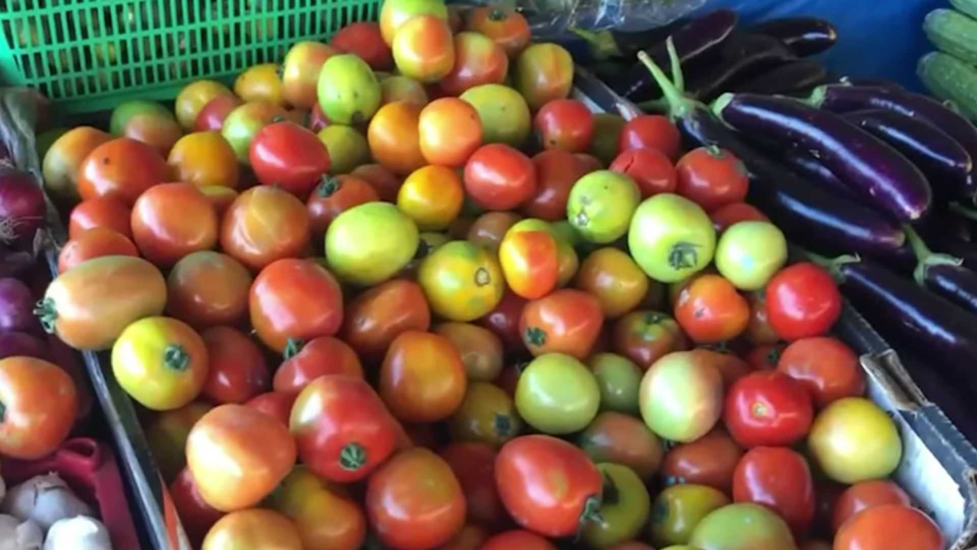 Tomato prices drop following P300 per kilo surge - DA