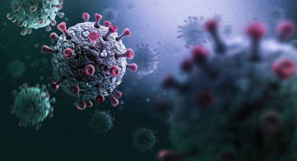DOH yet to detect new cases of Nipah virus in PH