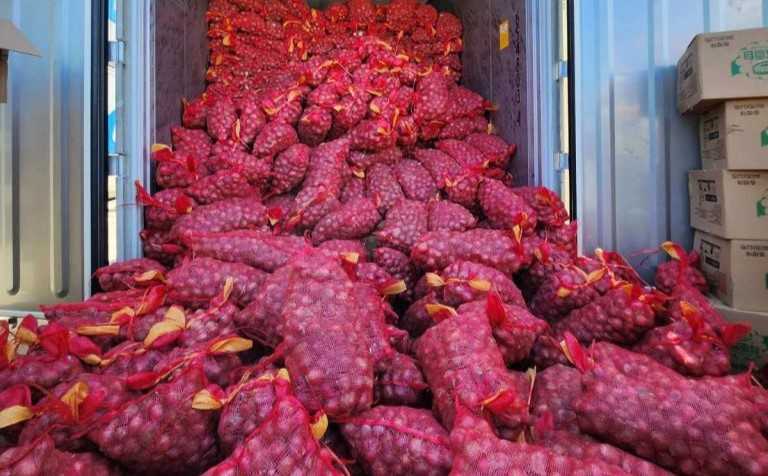 DOJ forms task force against agri product smugglers