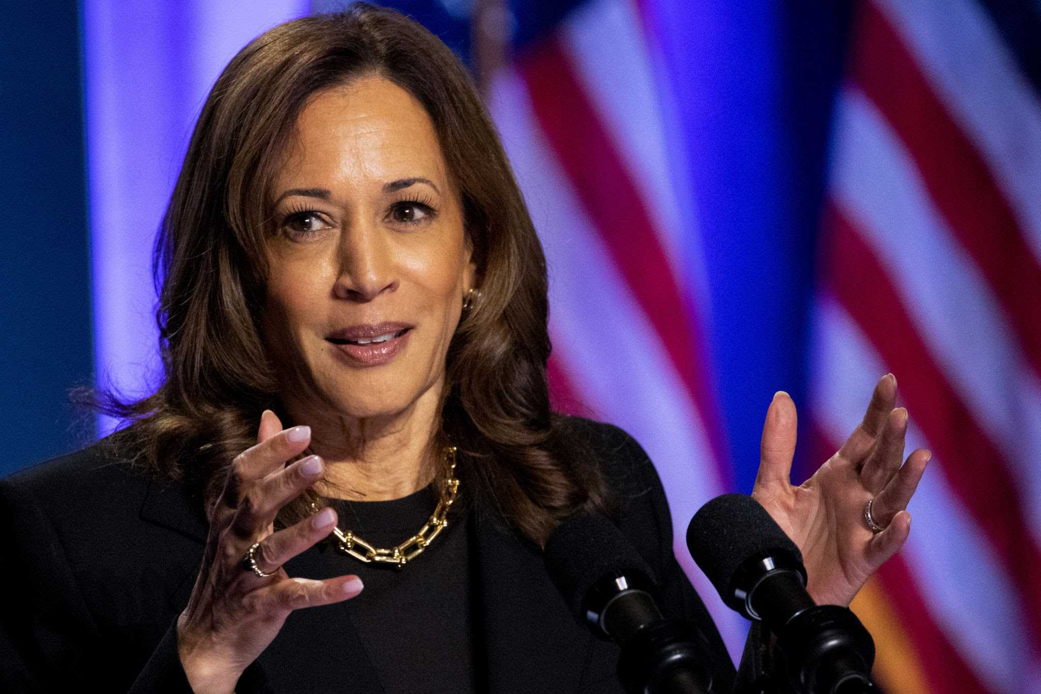 Kamala Harris could win if she secures Iowa vote, says Ex-COMELEC Commissioner