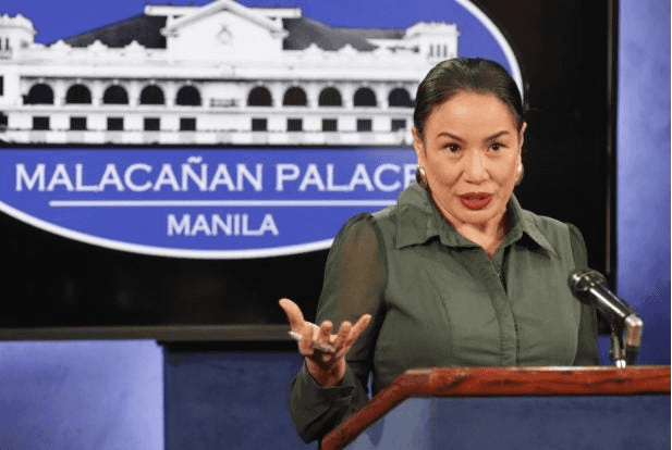 Ex-press secretary denies writing pleadings deemed as 'intemperate language'