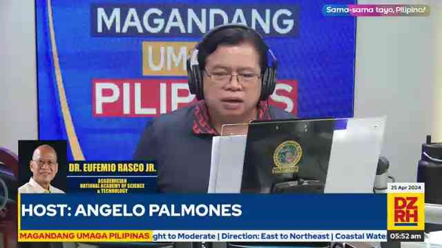 Farmers, consumers to suffer from CA ruling on golden rice, Bt eggplant - expert