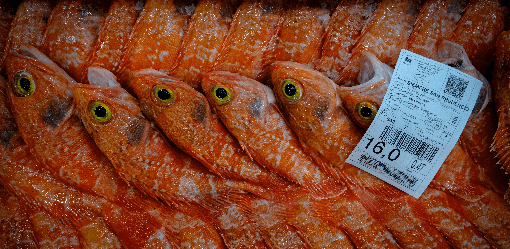 Fishing treaty fails at WTO, prompting US, Chinese concern