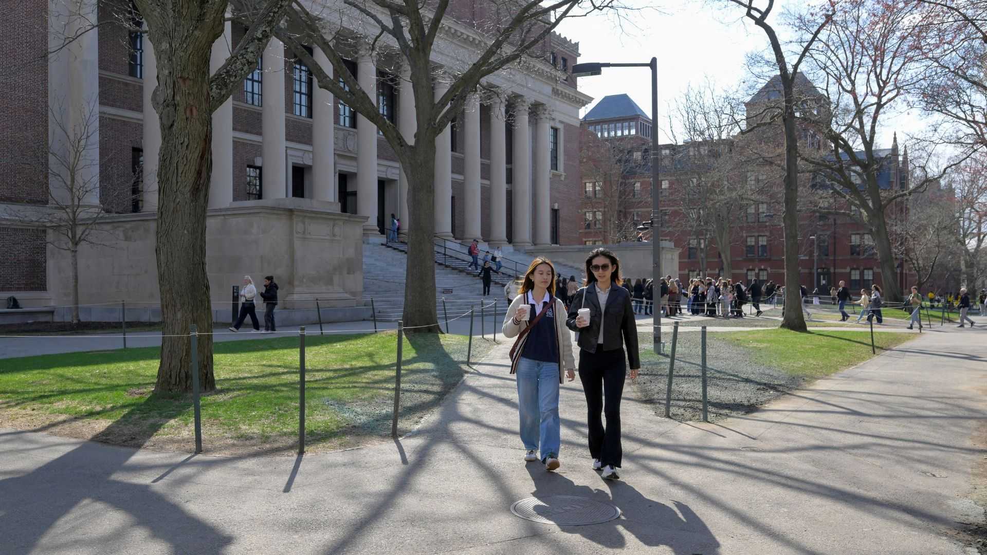 Harvard's foreign students in limbo after Trump administration revokes their enrollment