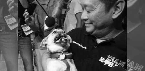 Hero dog Kabang passes away