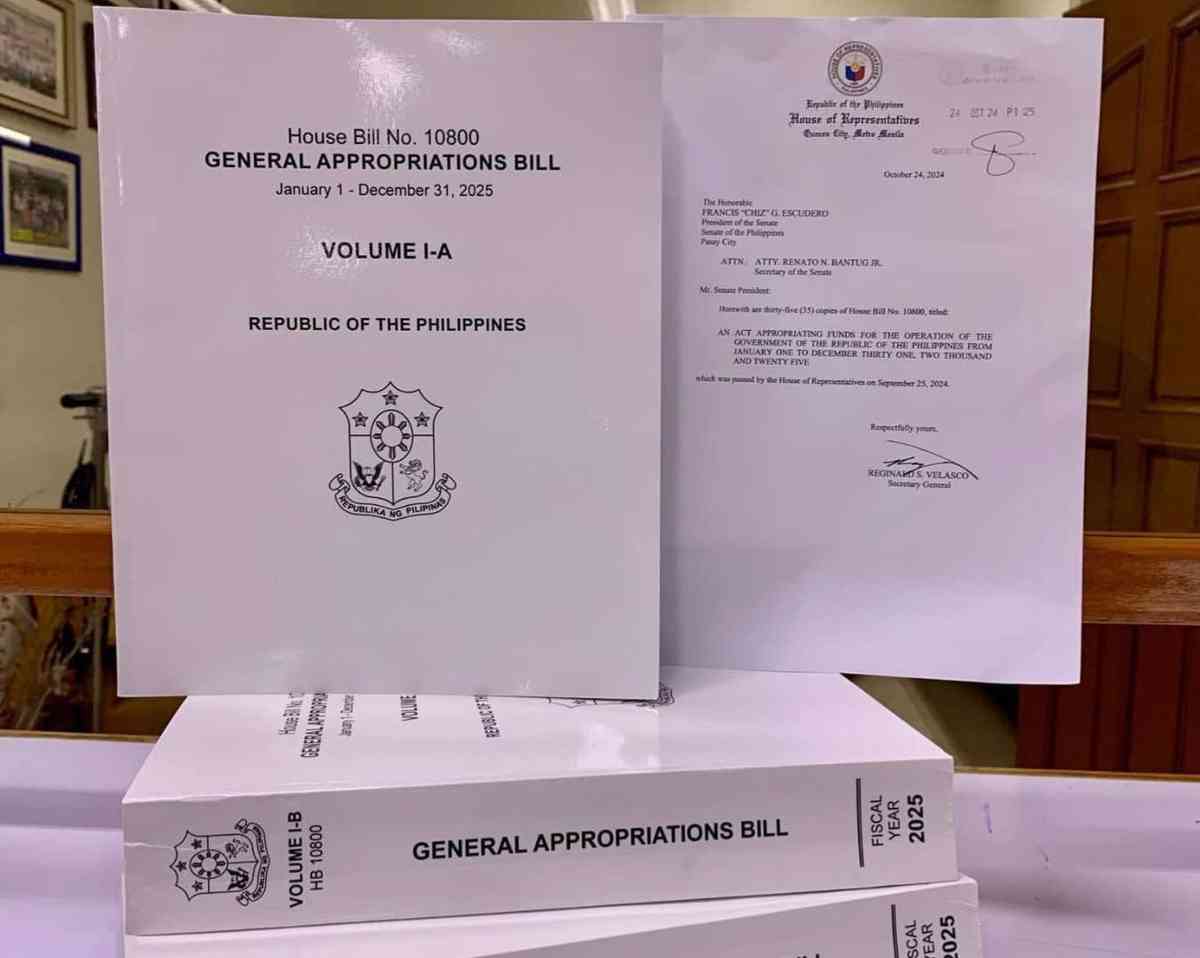 House submits 2025 proposed nat'l budget to Senate