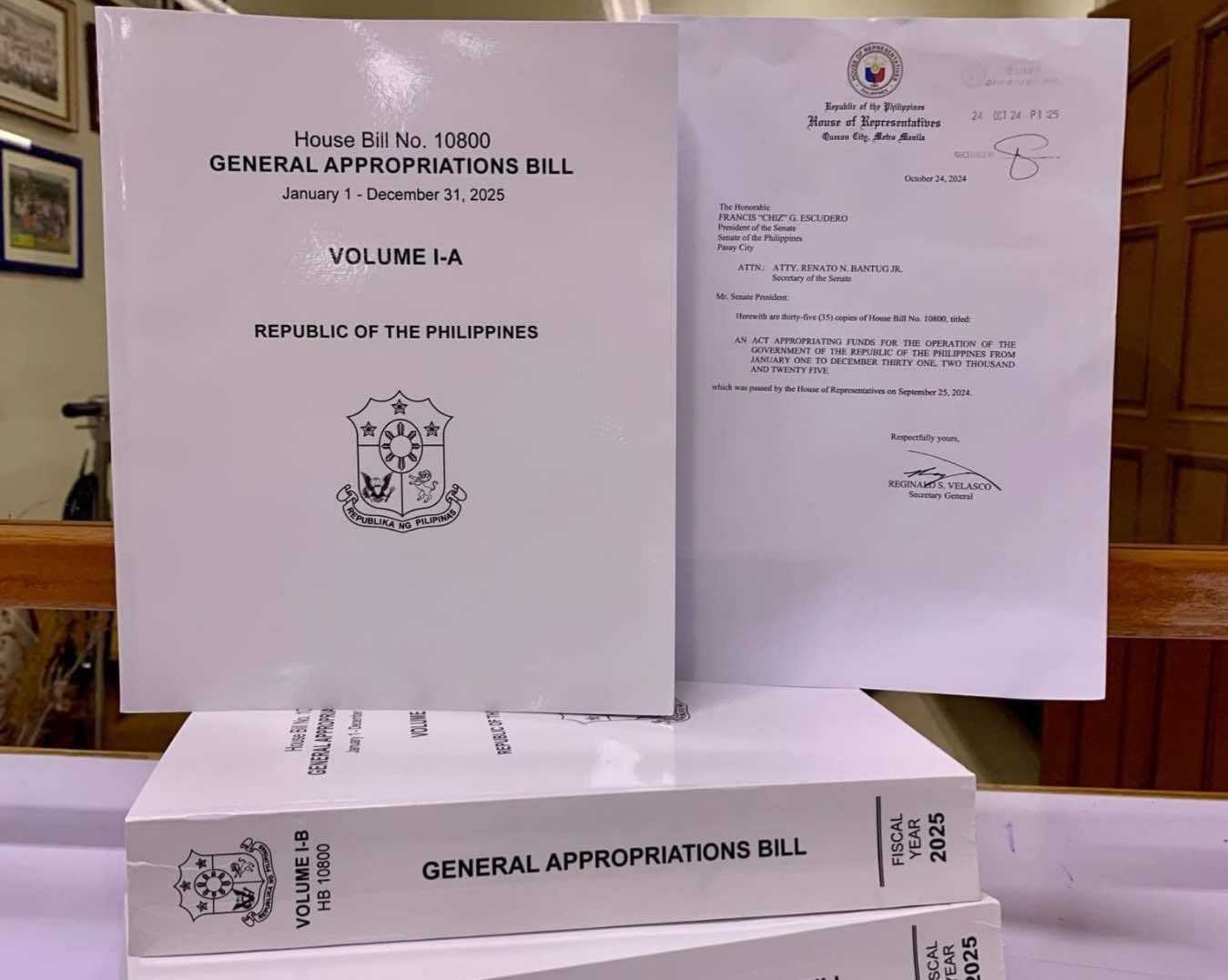 House submits 2025 proposed nat'l budget to Senate