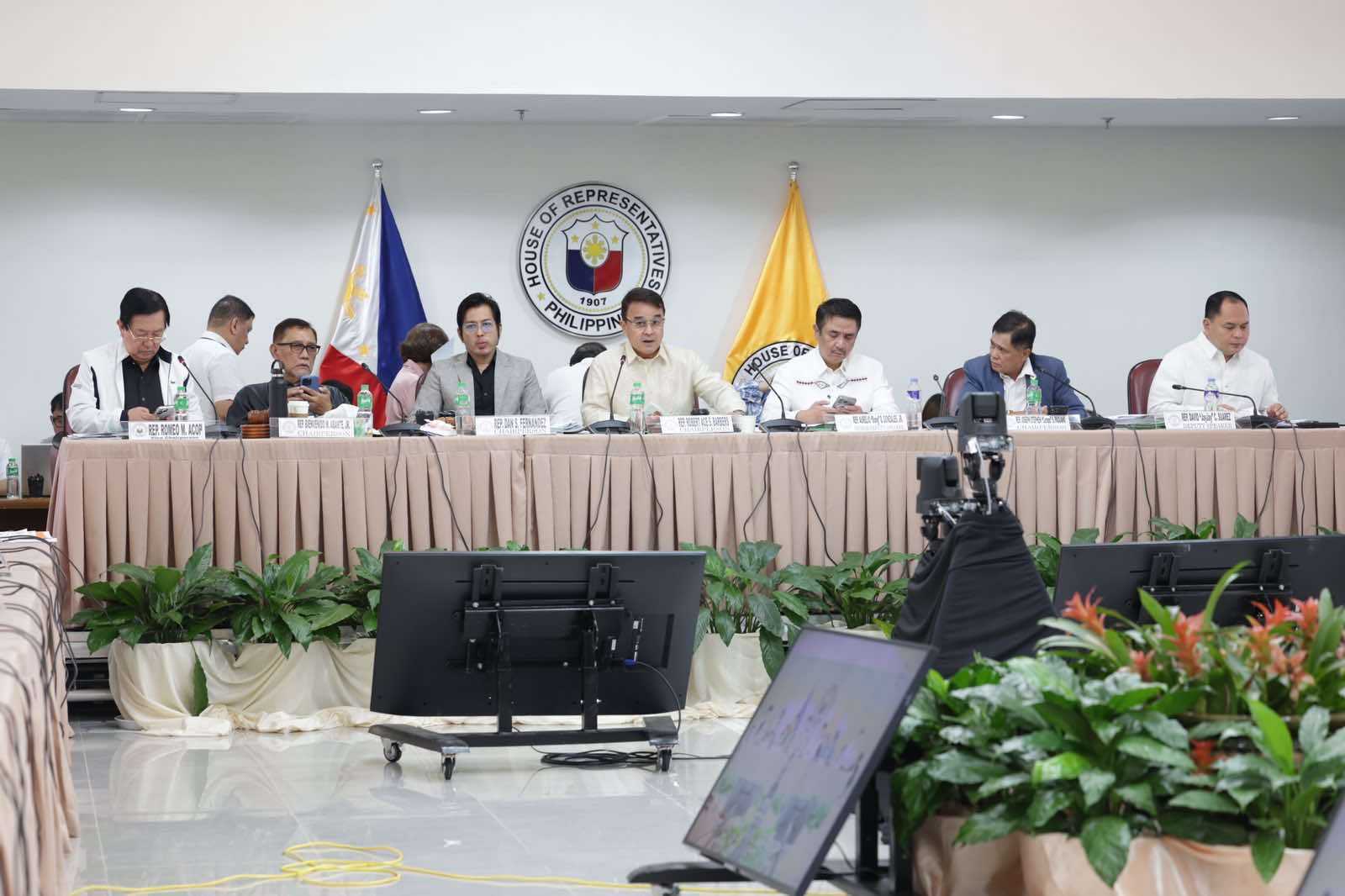 House welcomes SC's decision to junk Harry Roque's plea for writ of amparo