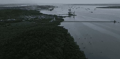 Indonesia pushes tourism to boost mangrove restoration