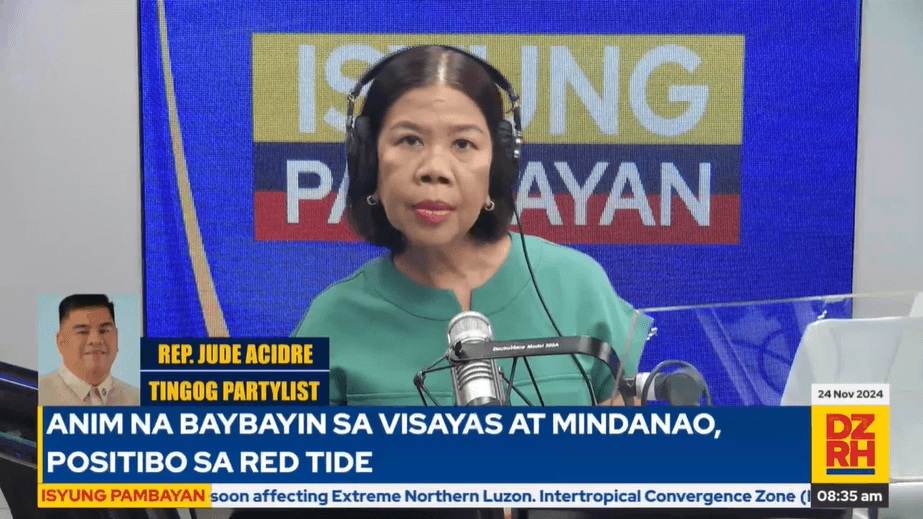 VP Sara’s situation ‘simple,’ loopholes to be plugged — Solon