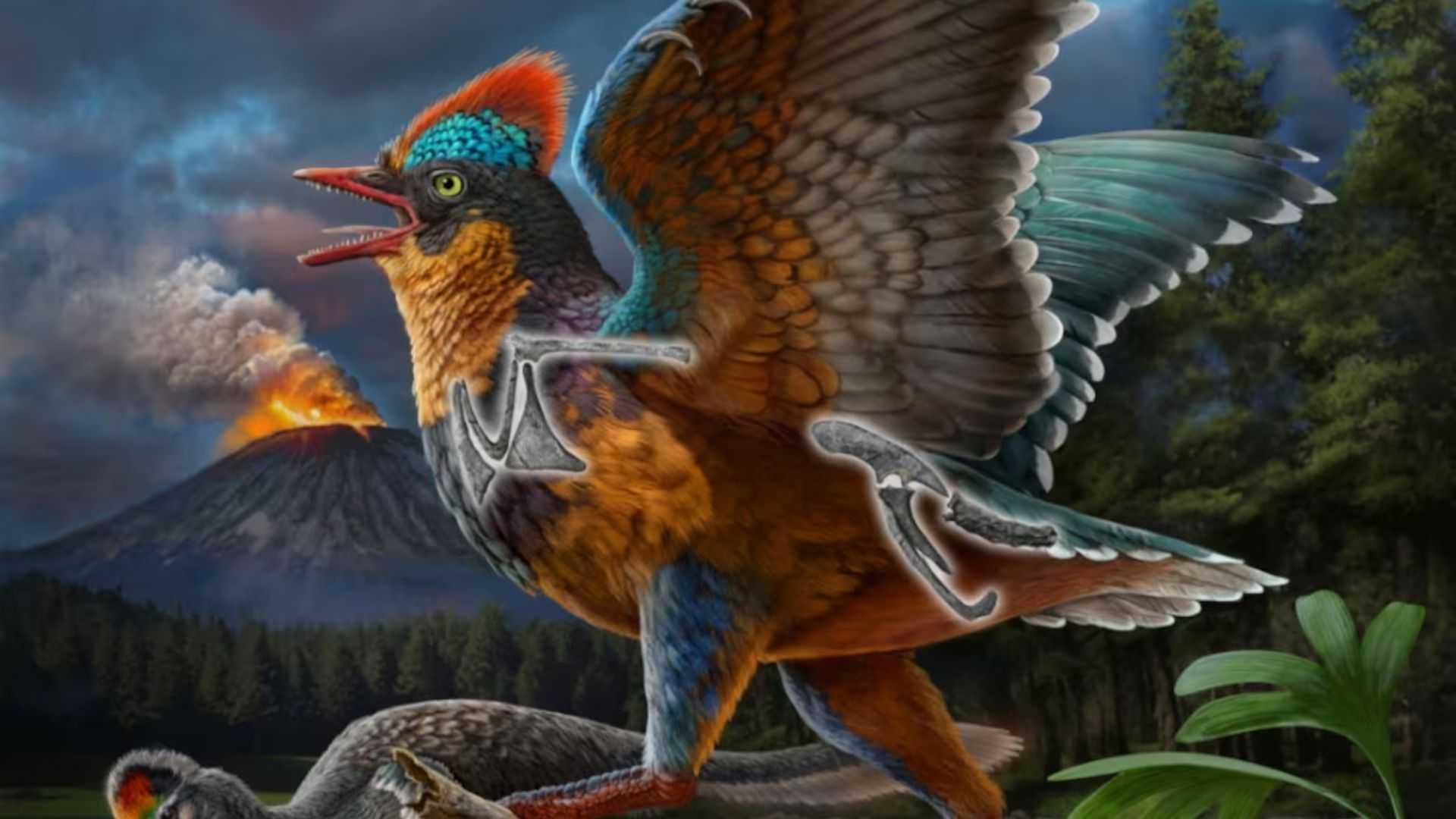 Jurassic fossil from China rewrites history of bird evolution