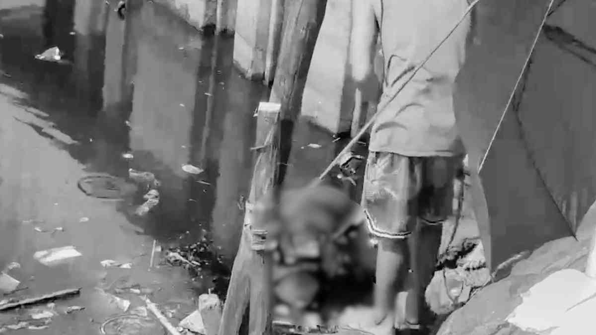 Two male bodies found separately in river along Malabon