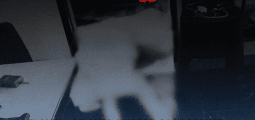 Belgian national killed in Davao de Oro; suspect arrested