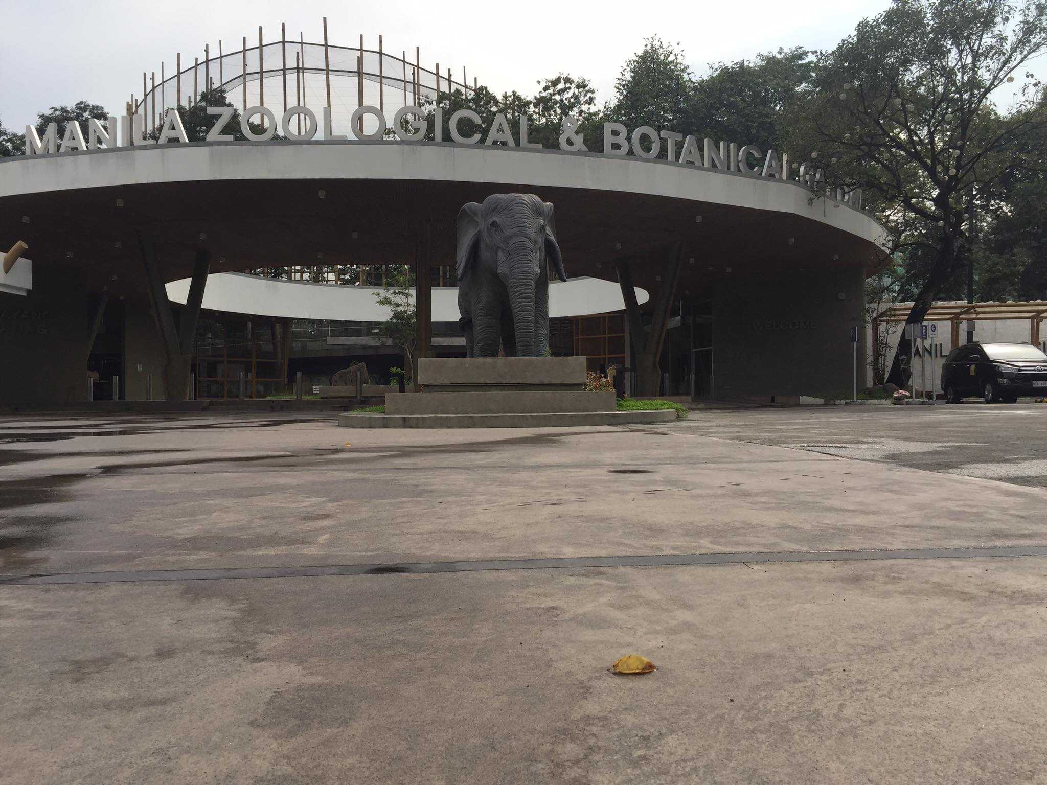 Manila Zoo suggested transfer, countered by city officials
