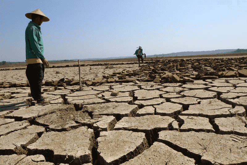 Marcos taps DENR, WRMO, other gov't agencies to submit El Niño contingency plan