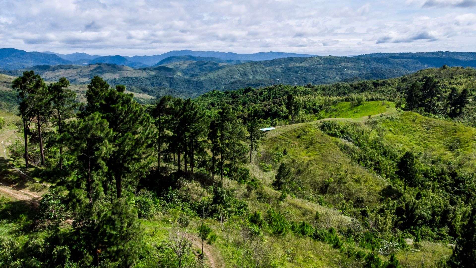 Masungi Georeserve asks Marcos to “intervene” vs DENR eviction notice