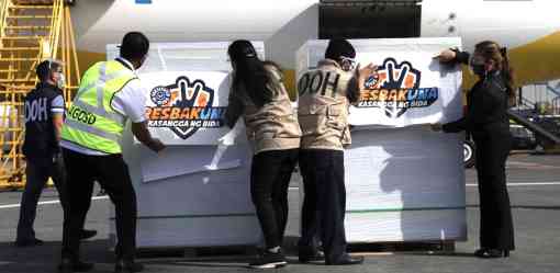 More Sinovac doses arrive in PH