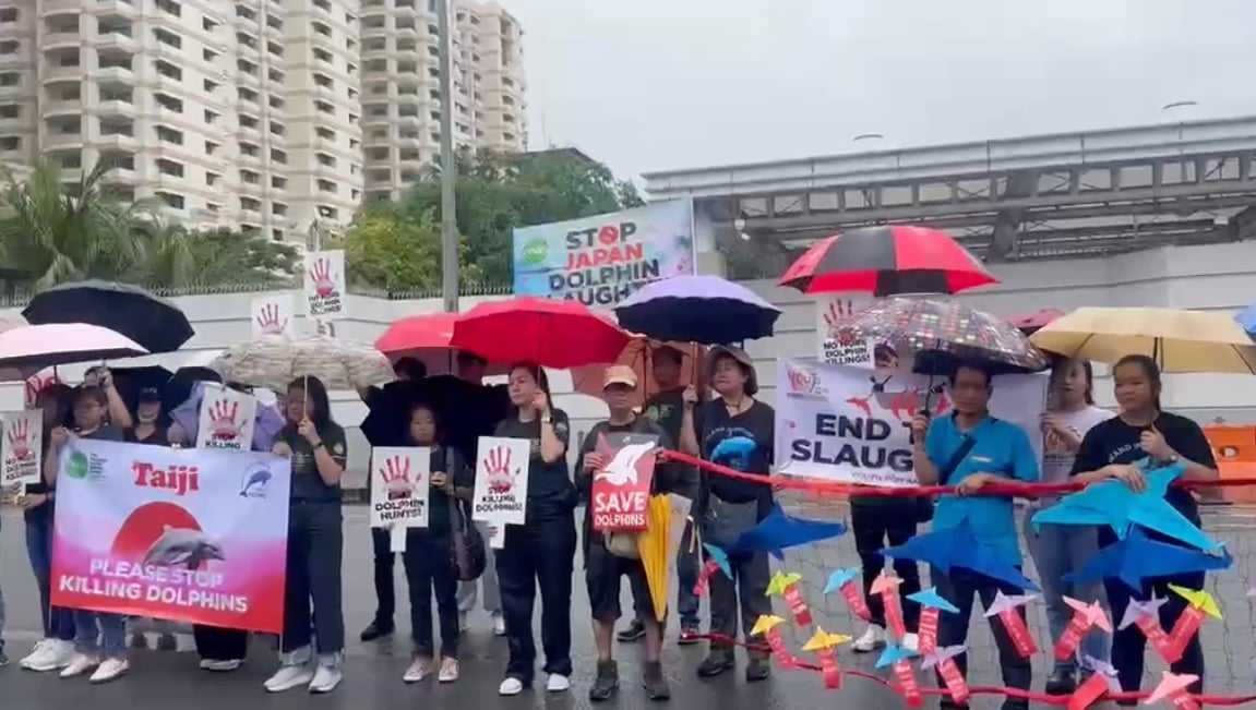 Multi-sectoral groups stage protest outside Japanese Embassy in Pasay against dolphin hunt in Taiji