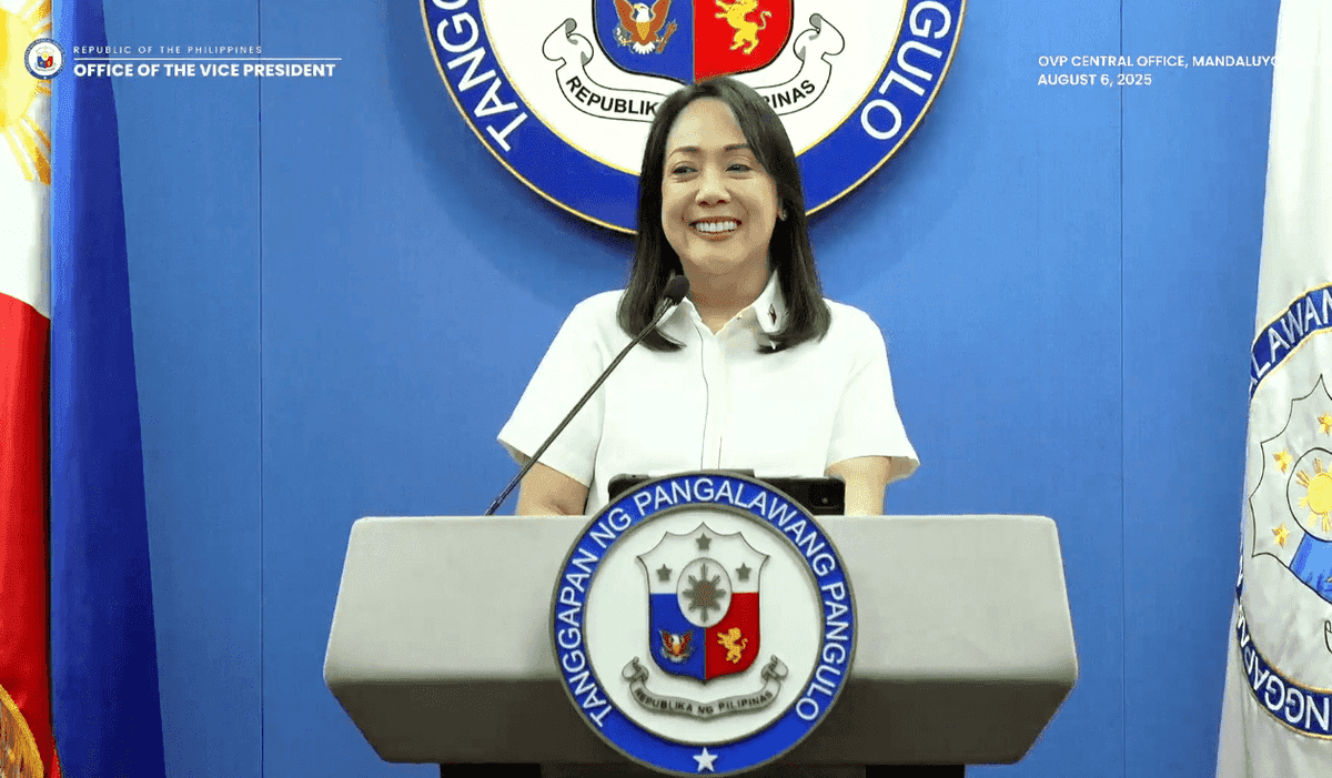 No confidential funds in 2026 OVP budget — Castelo