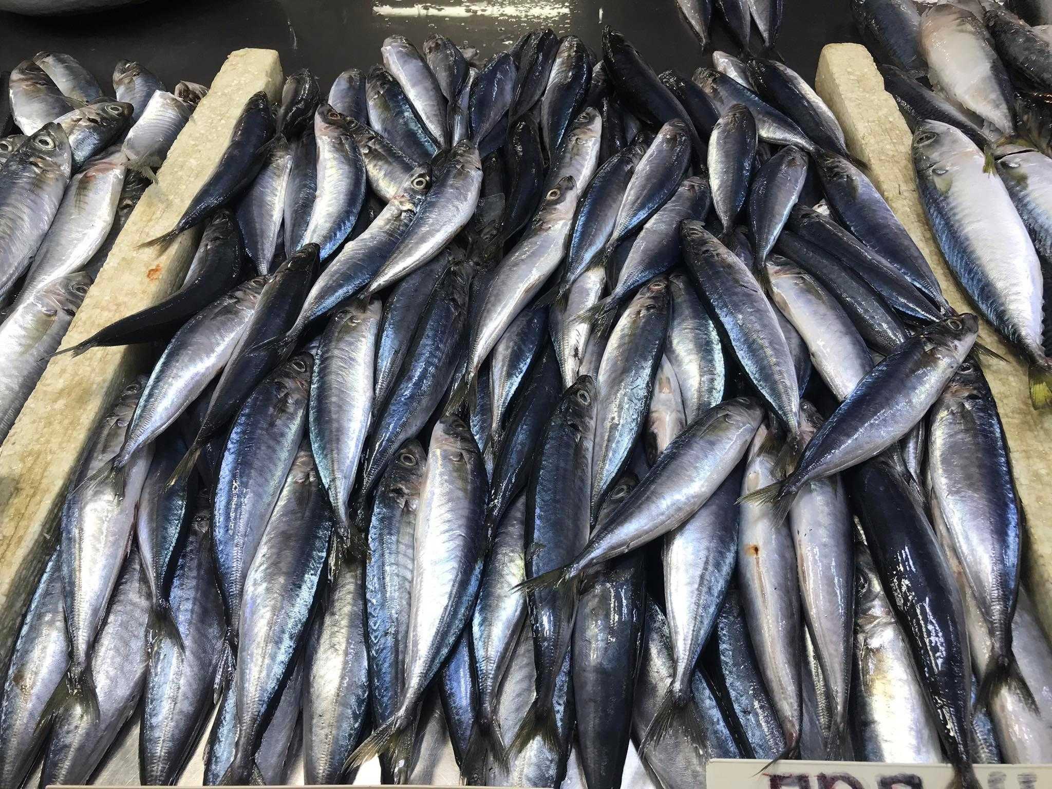 Oil spill drives fish price hike in Pinamalayan, Oriental Mindoro