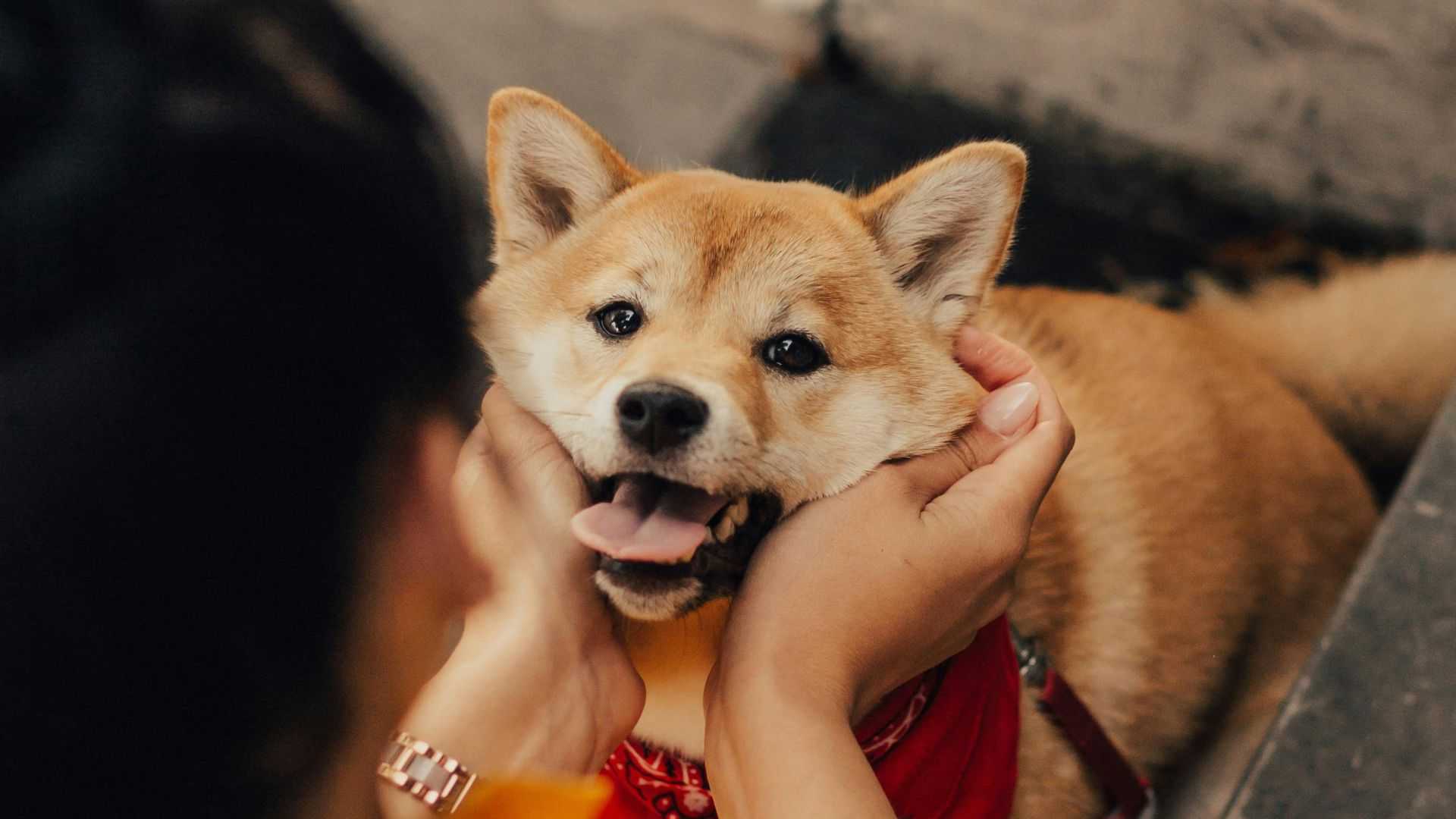 Oxford Dictionary adds ‘Gigil’ to its list of untranslatable words