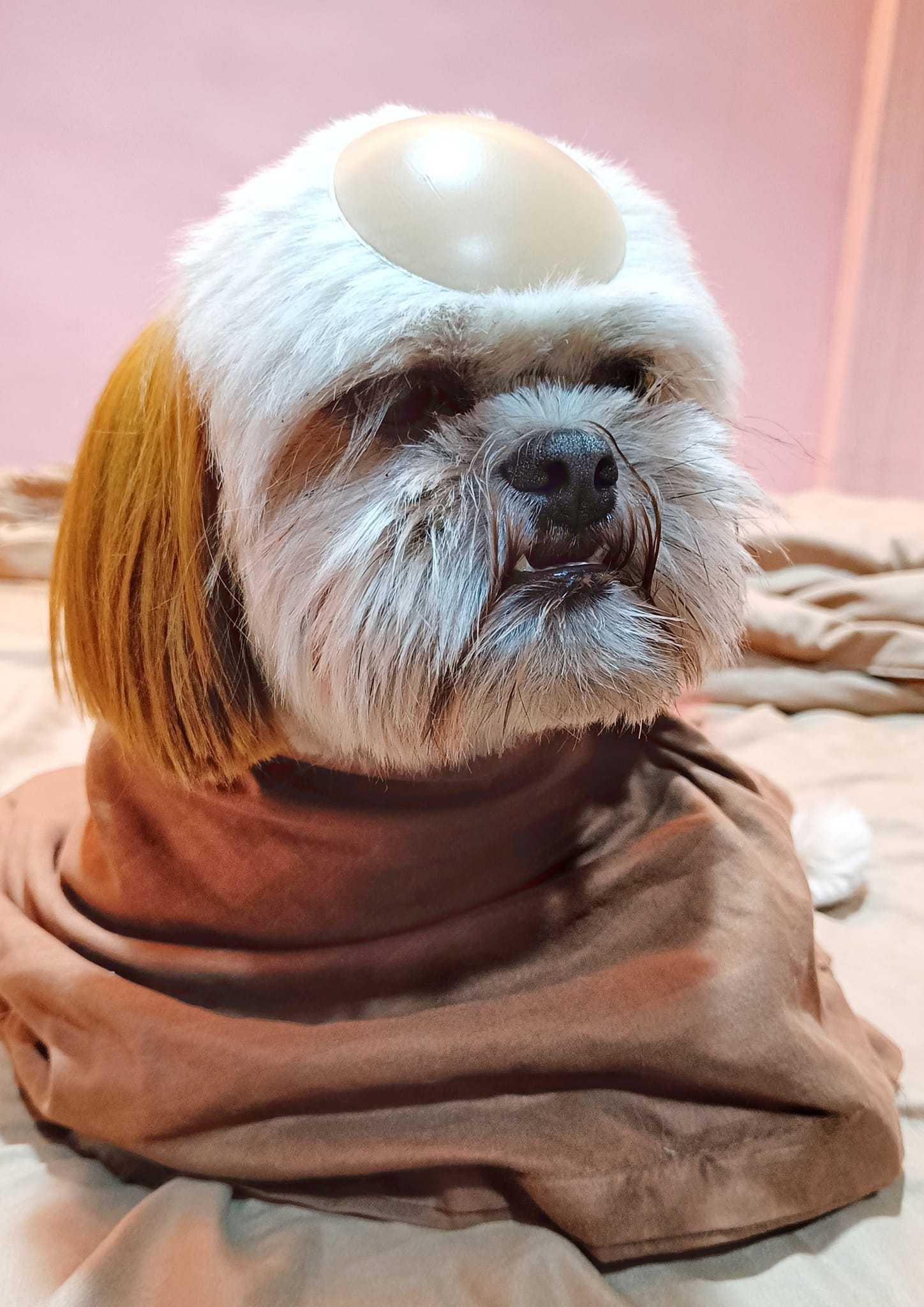 LOOK: ‘PAWDRE SALVI’ Dog charms netizens by impersonating Padre Salvi