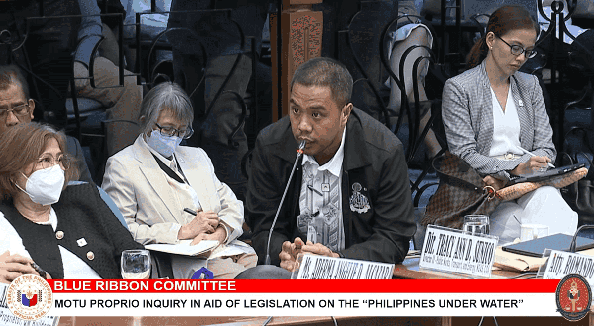 PCAB unaware of St. Timothy construction firm's ‘material misrepresentation’ case vs. BIR