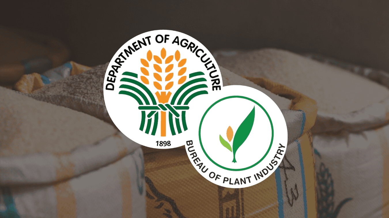 PH has not reached rice import projections