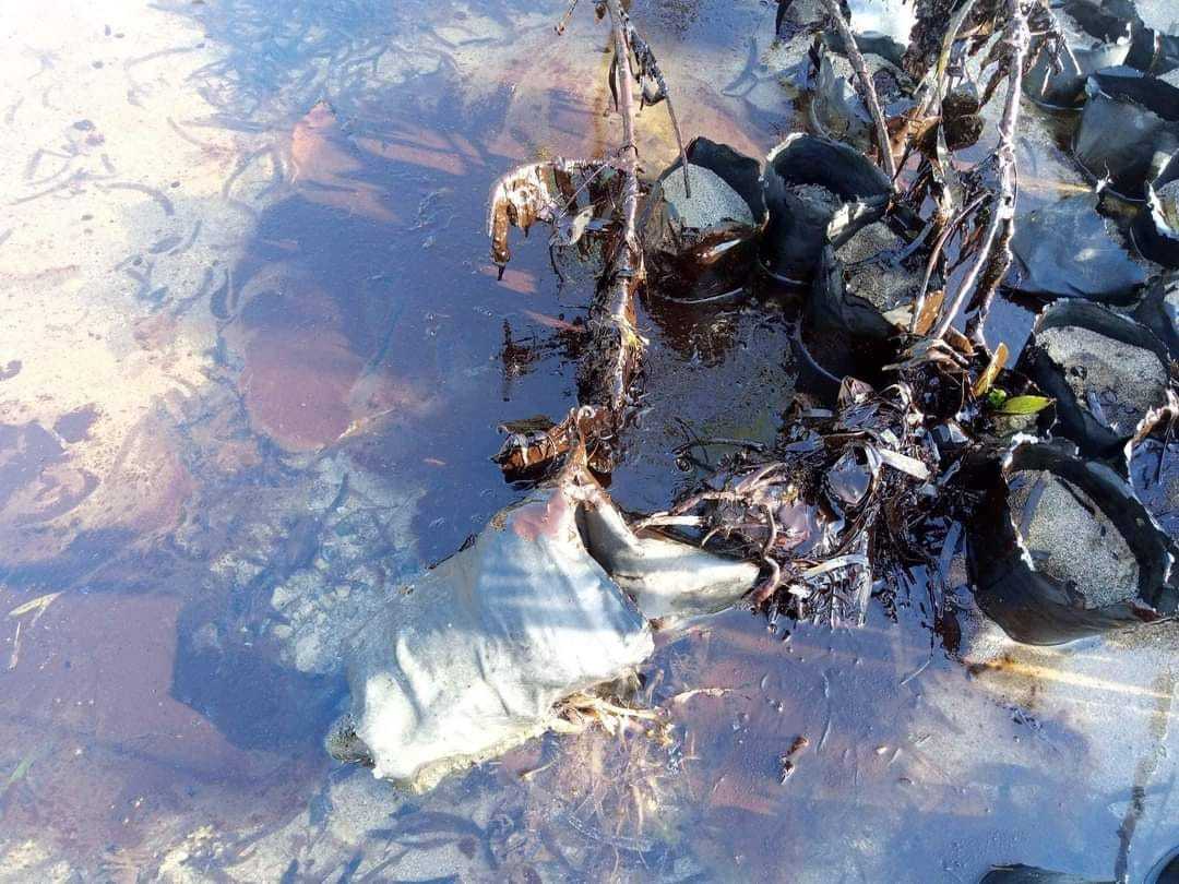 PH to tap Japan gov't to contain oil spill in Oriental Mindoro