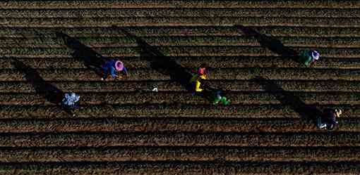 Philippine GDP to grow faster than expected this year - World Bank