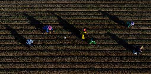 Philippine GDP to grow faster than expected this year - World Bank