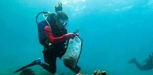 Philippines divers clear plastic waste from corals for World Cleanup Day