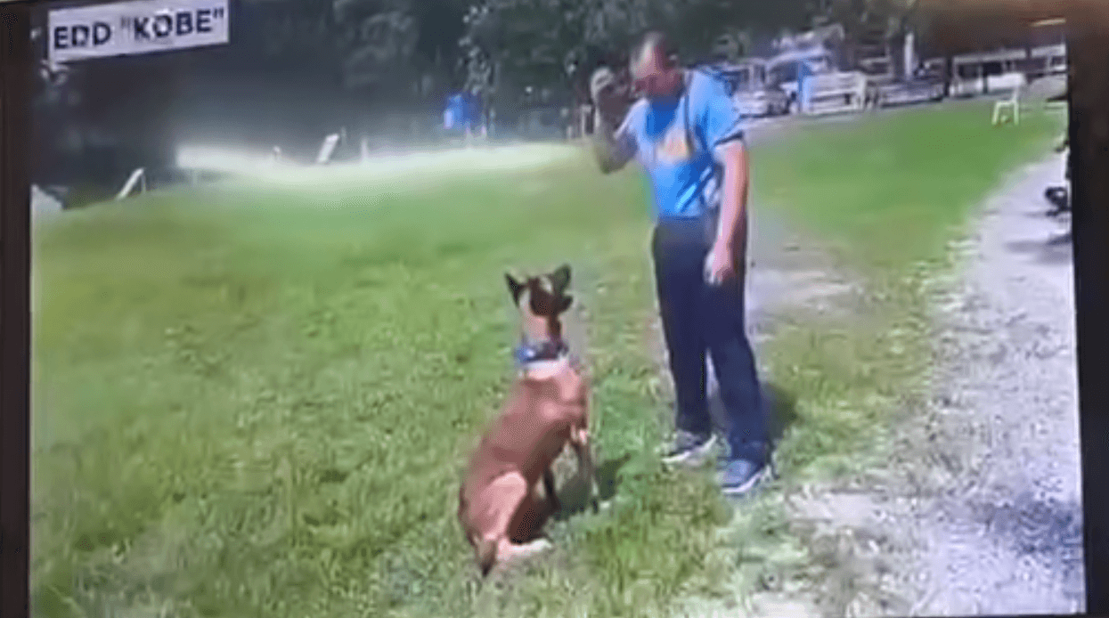 PNP announces new leadership of EOD-K9 Group after K9 dog 'Kobe' goes viral and tagged as 'malnourished'