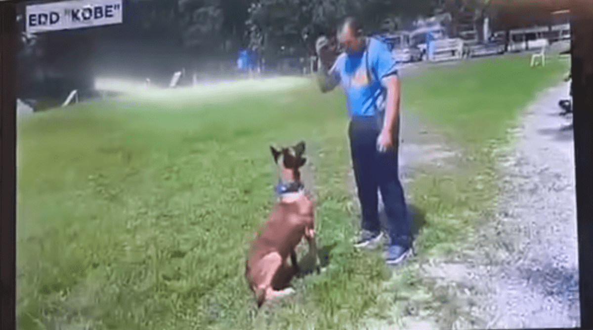 PNP announces new leadership of EOD-K9 Group after K9 dog 'Kobe' goes viral and tagged as 'malnourished'
