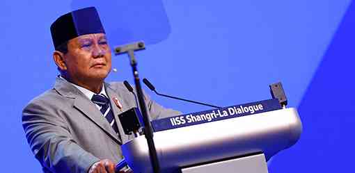 Prabowo says Indonesia willing to send peacekeeping troops to Gaza