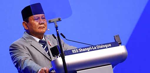 Prabowo says Indonesia willing to send peacekeeping troops to Gaza