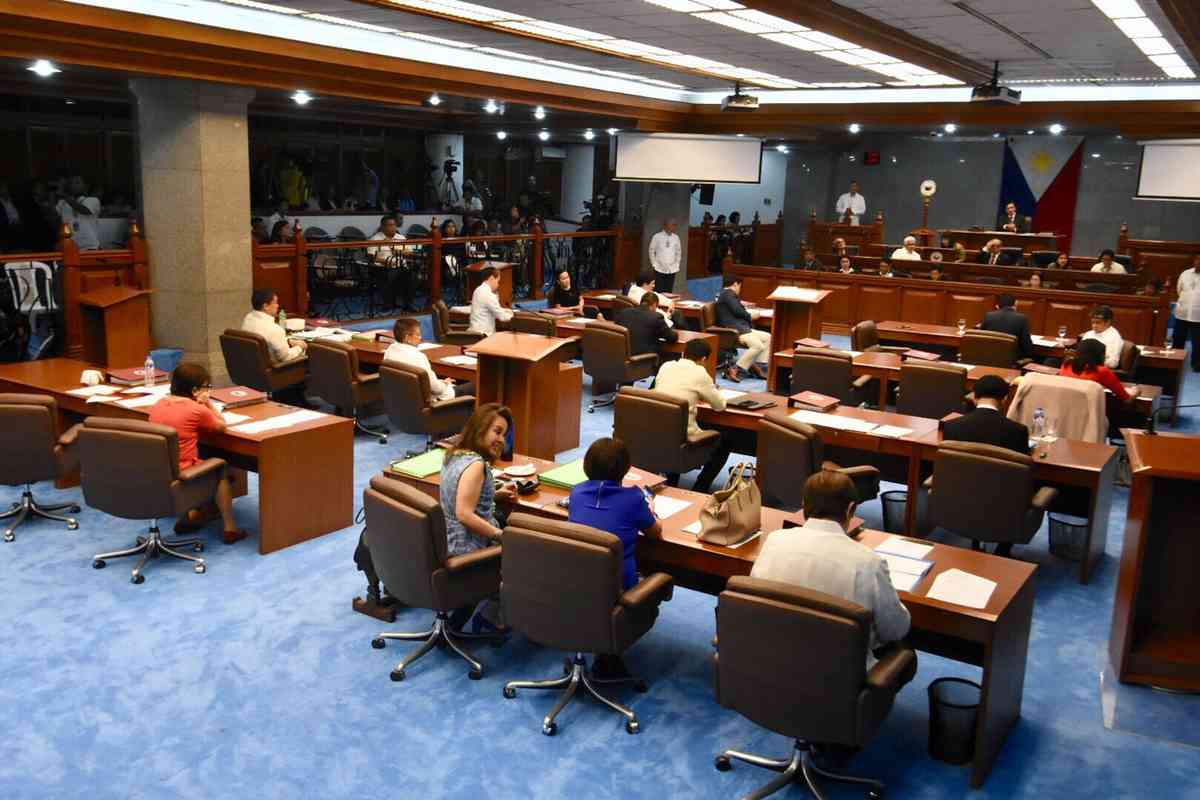 Senate probe on airport traffic mess set on Jan. 12