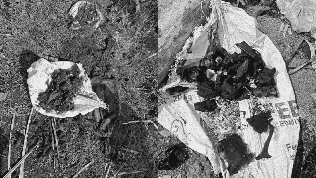 Skeletal remains uncovered at Taal Lake