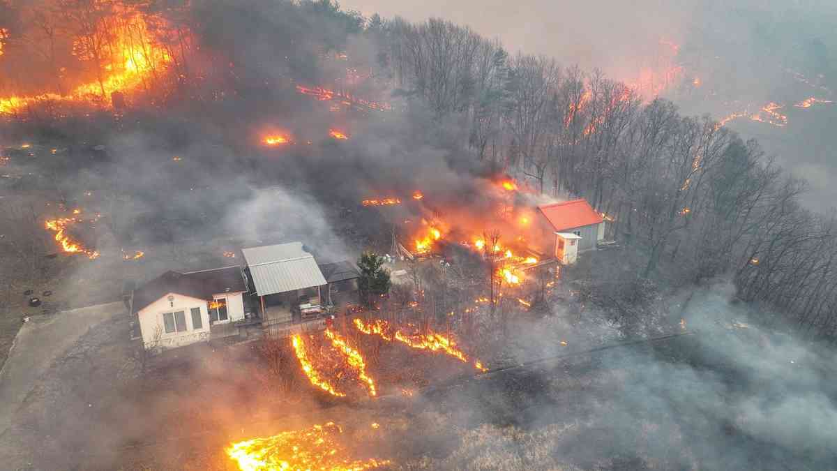 South Korean wildfires spread, three more disaster zones named