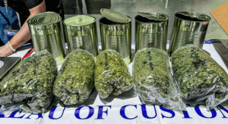 Consignee of P4-M kush declared as ‘herbal tea’ arrested in Manila