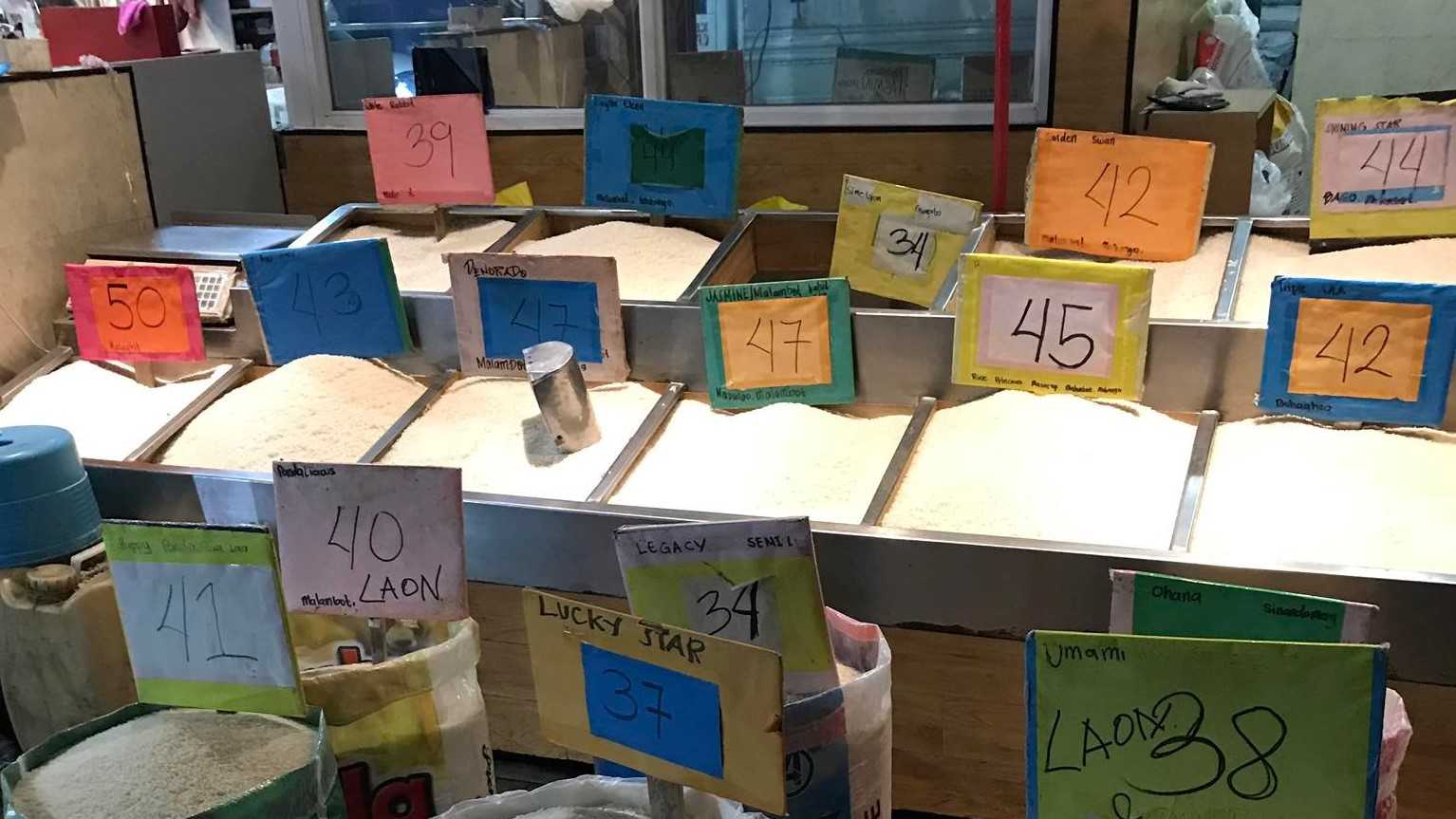 Vietnam vows to supply affordable rice to PH — Romualdez