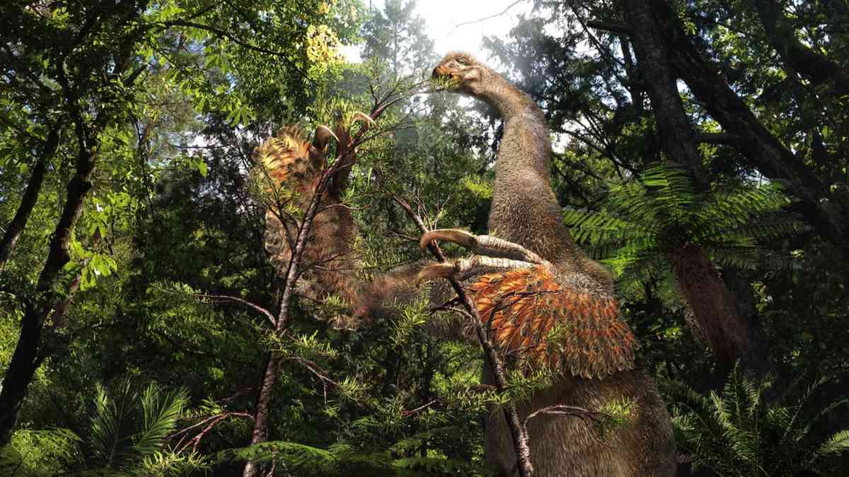 Weird Mongolian dinosaur wielded 'big, sharp and nasty' claws