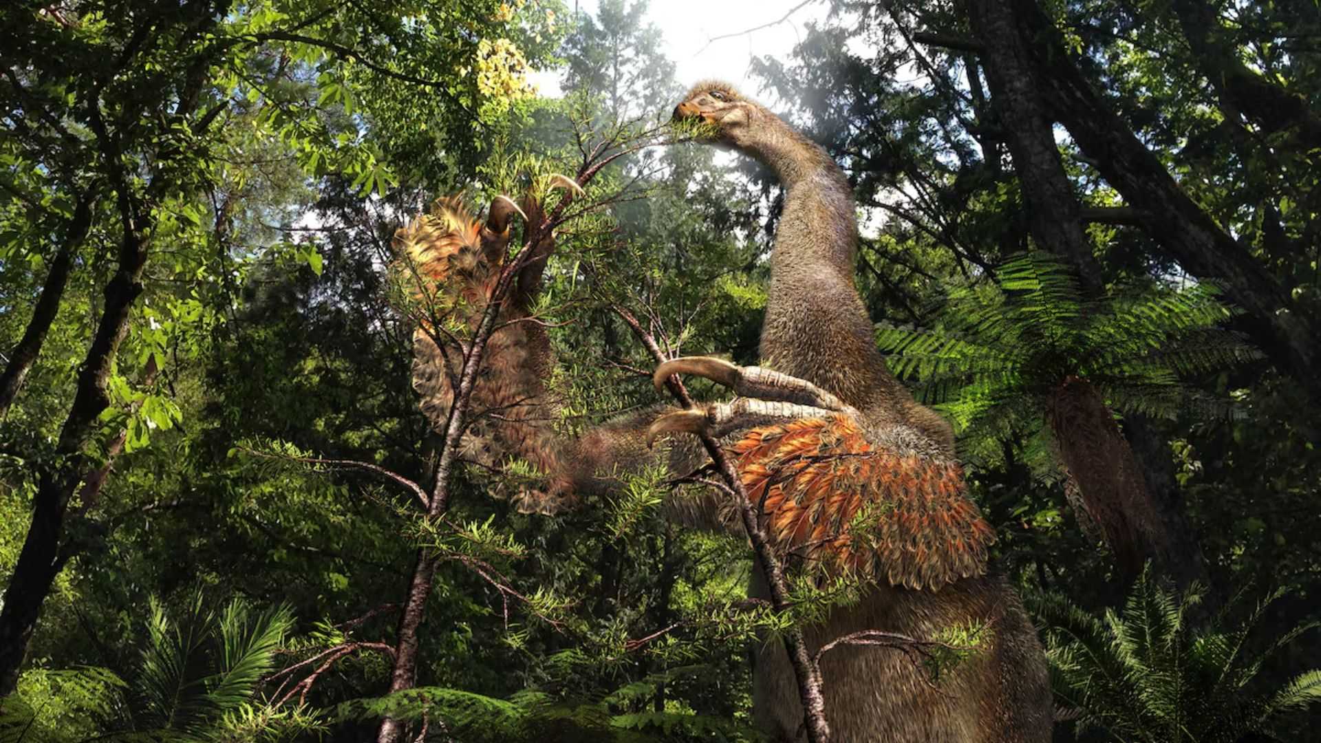 Weird Mongolian dinosaur wielded 'big, sharp and nasty' claws