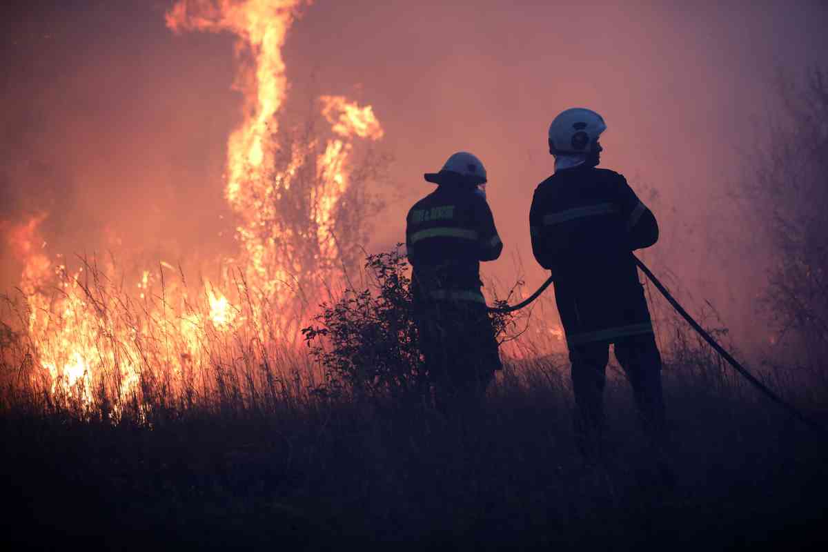Wildfires rage across Bulgaria, destroying forests and homes